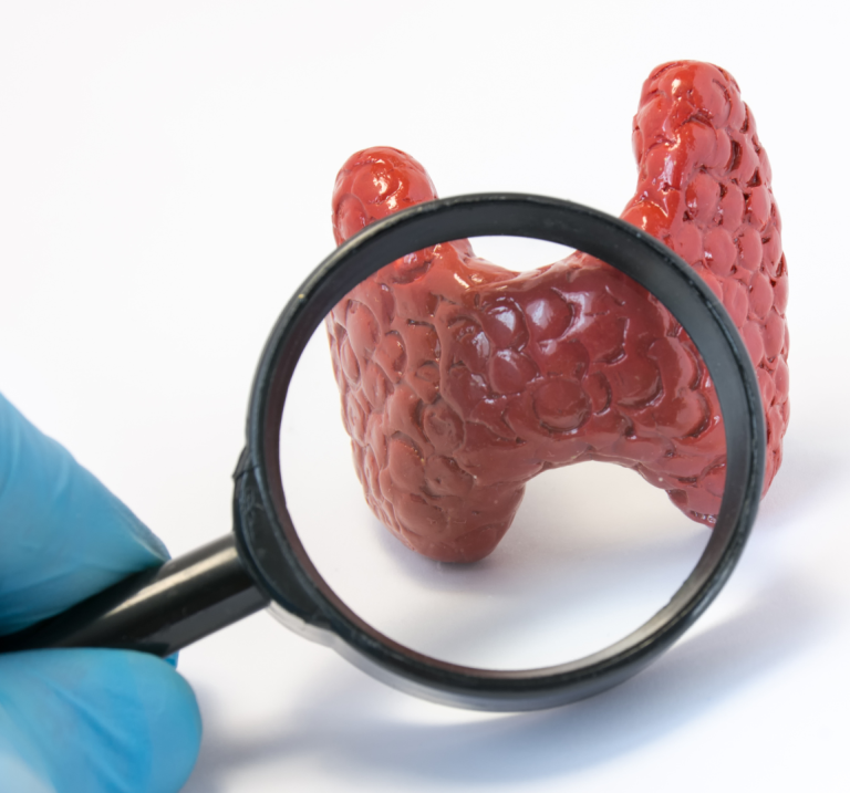 Patient Discussing Thyroid Health with Dr. Galina